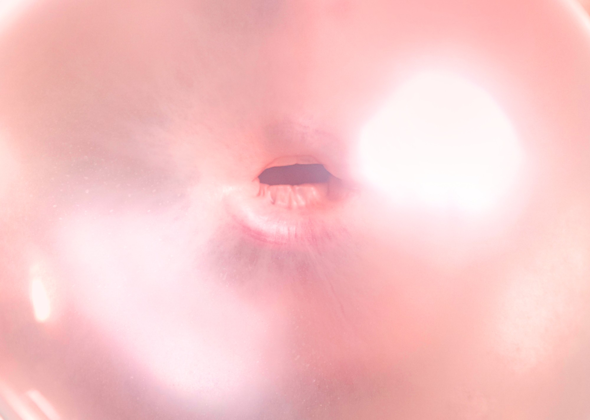 - stimorol_header.jpg